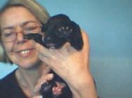 Me and Lullaby,s daughter Lunar as a puppy